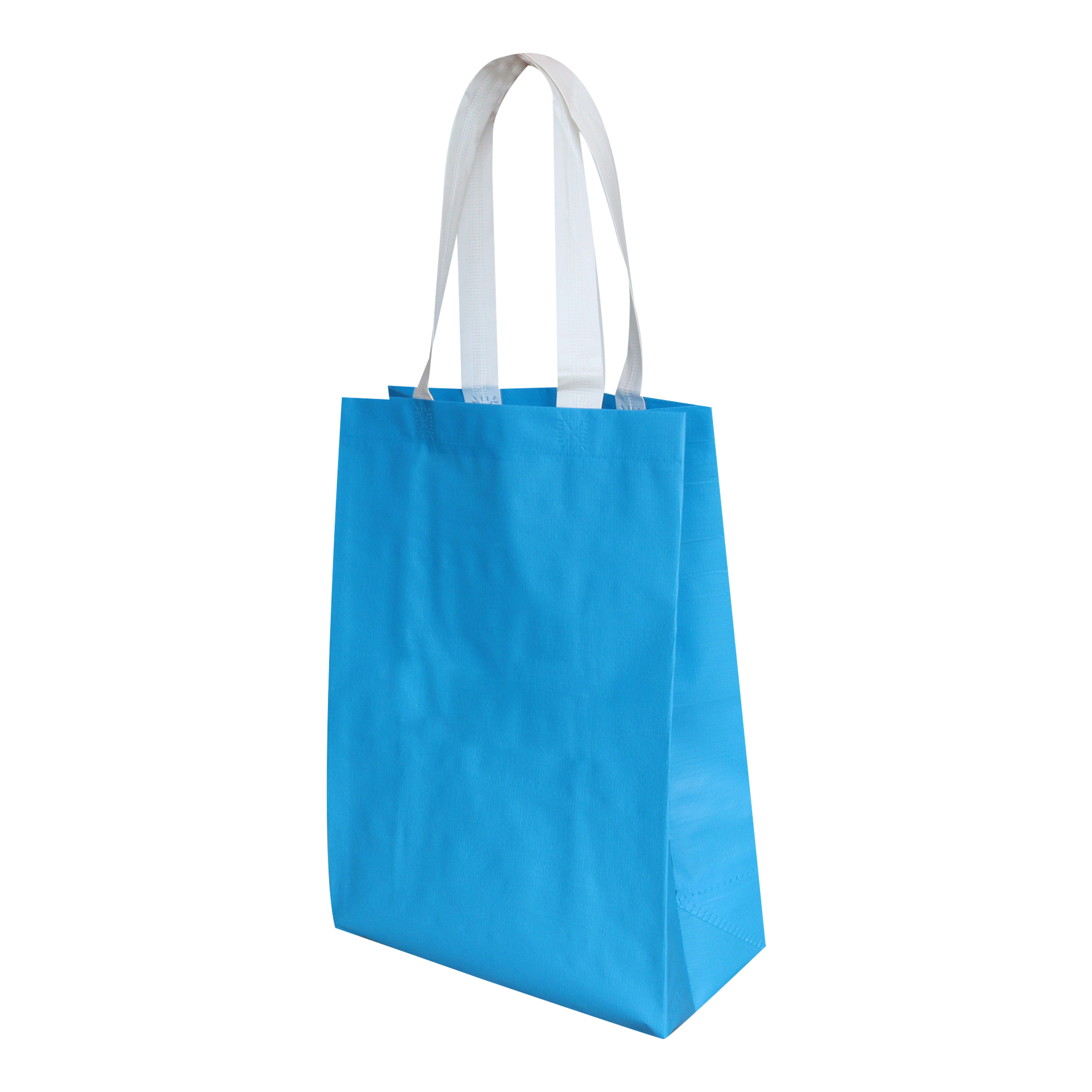 Reusable Handled Bag SK0008110B10ABWN