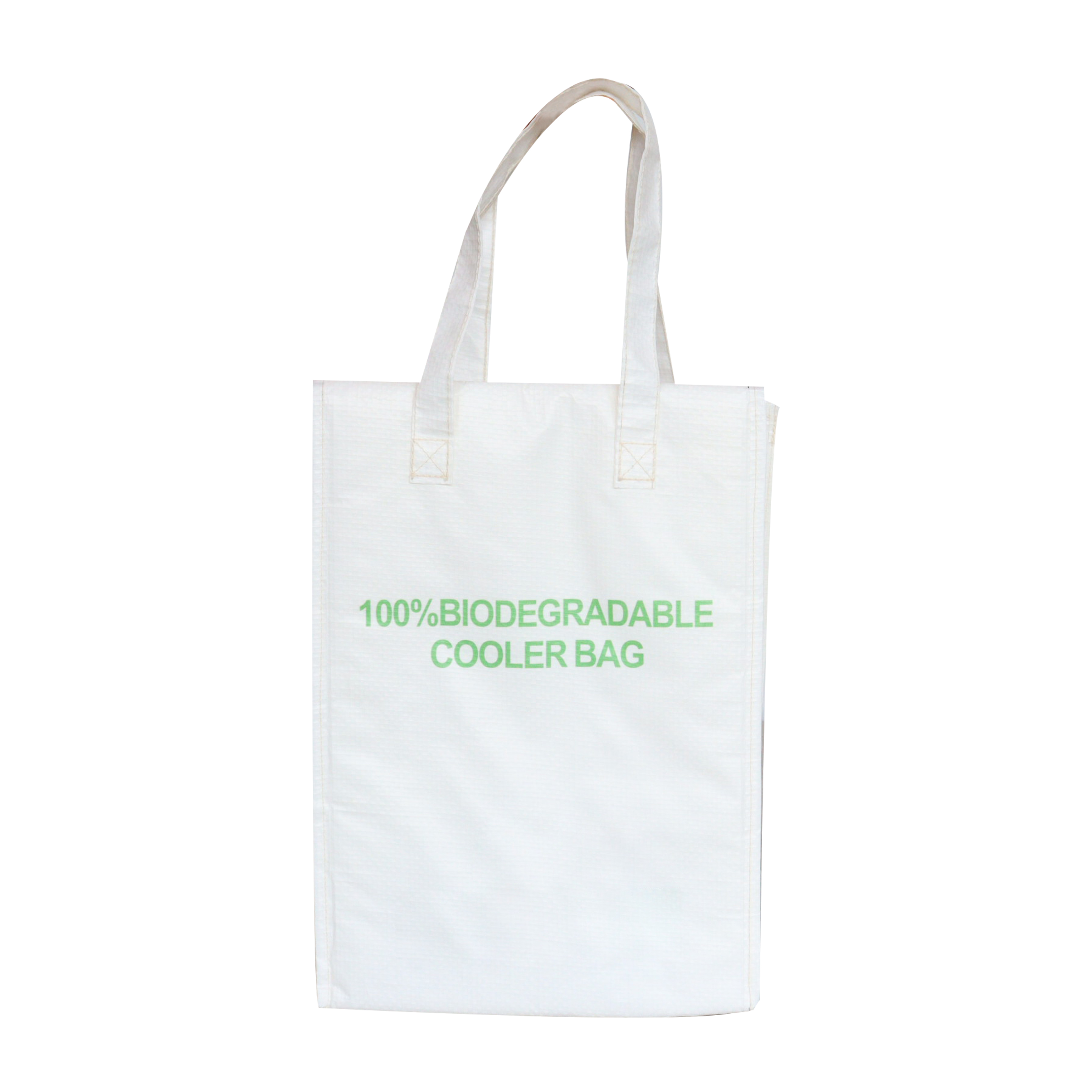 Reusable Cooler Bag