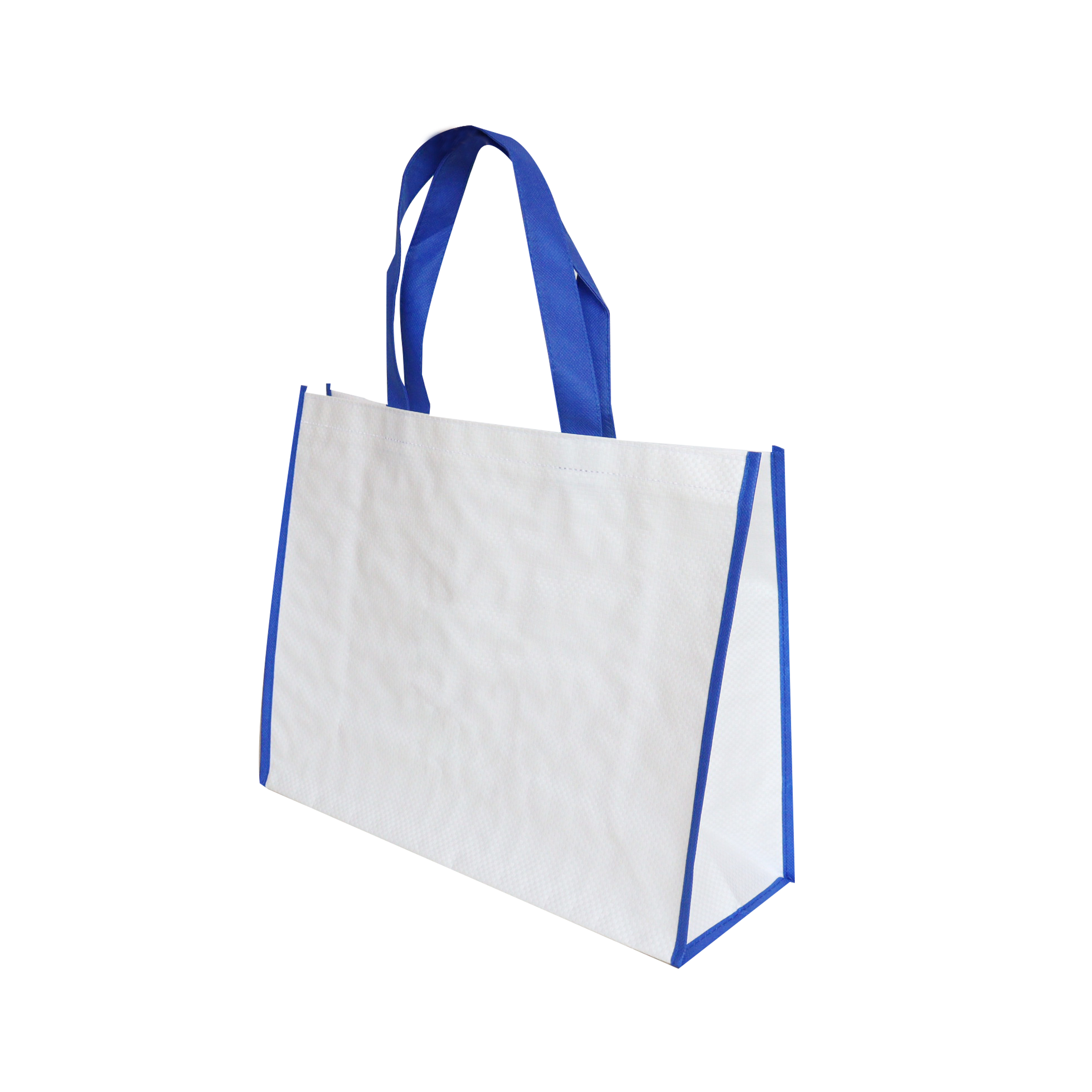 Reusable Tote Bag  SK0011110B12ABWN