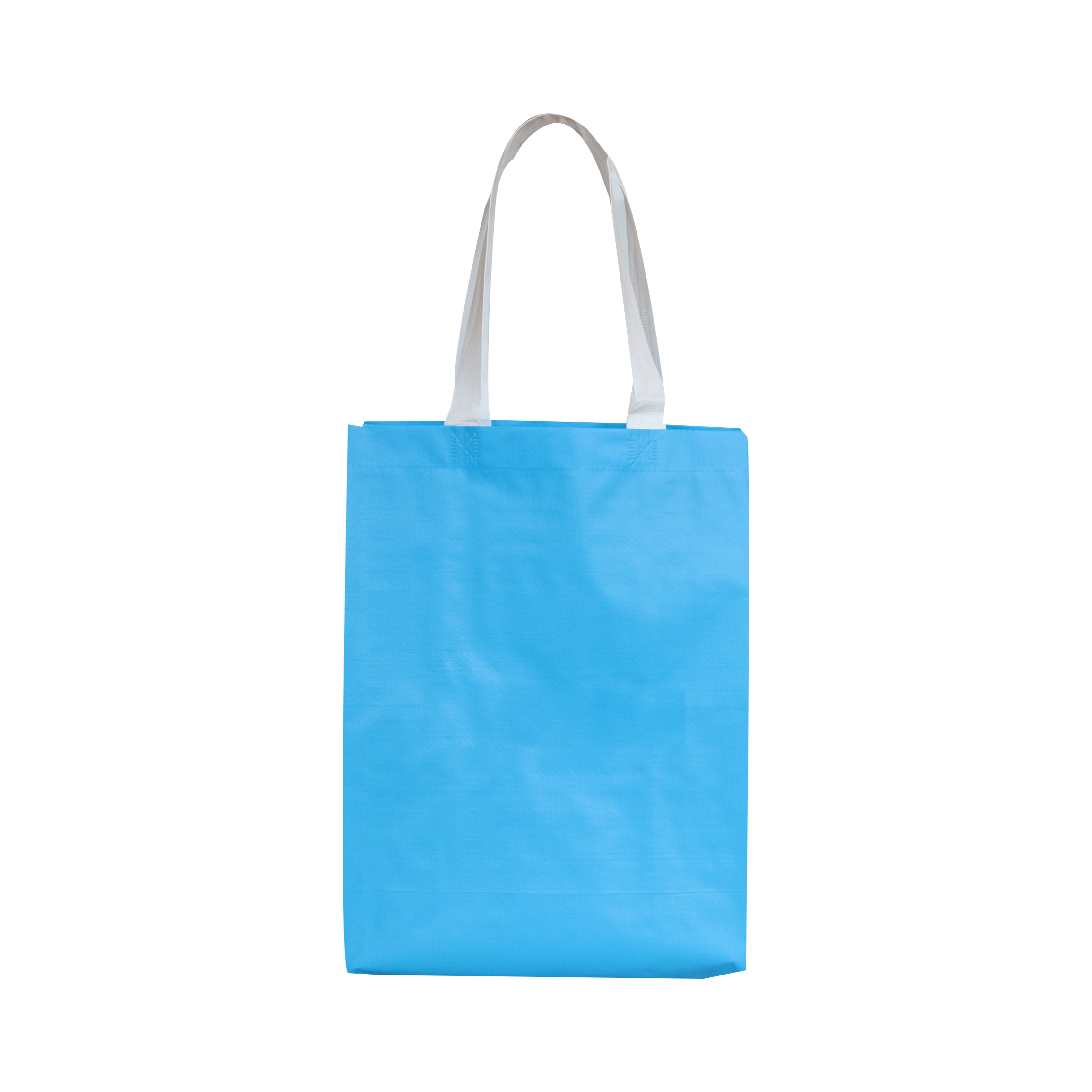 Reusable Handled Bag SK0008110B10ABWN