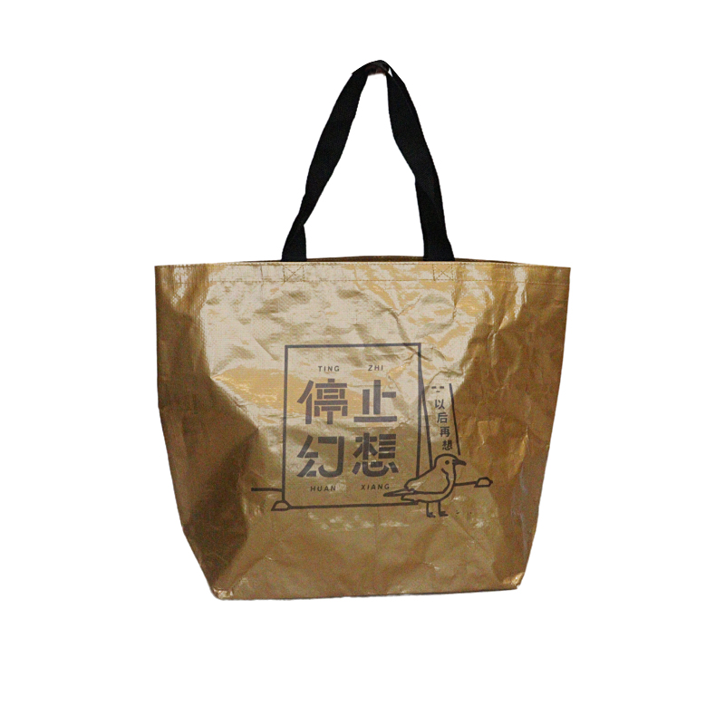 Reusable Fashion Bag SK0018120B10BDWN