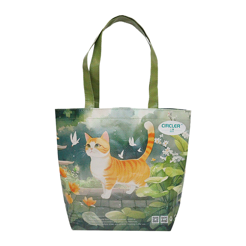 Reusable Fashion Bag SK-DM-02