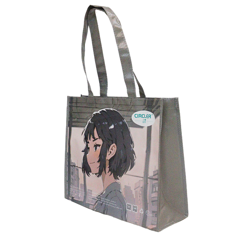 Reusable Fashion Bag SK-DM-03