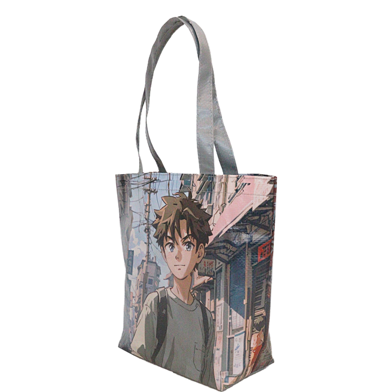 Reusable Fashion Bag SK-DM-06