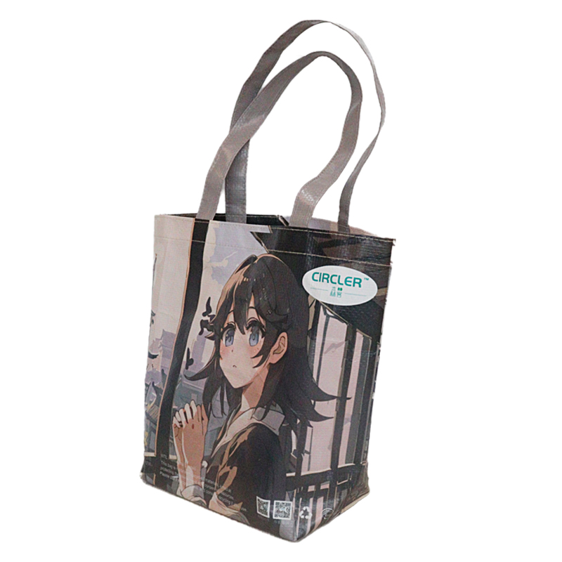 Reusable Fashion Bag SK-DM-09