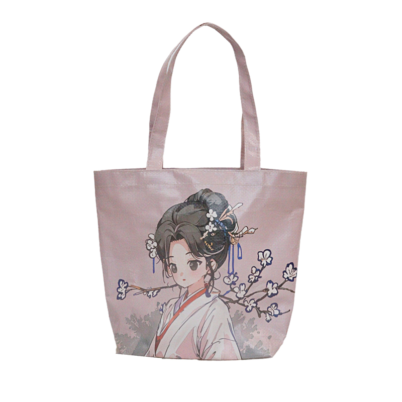 Reusable Fashion Bag SK-DM-11