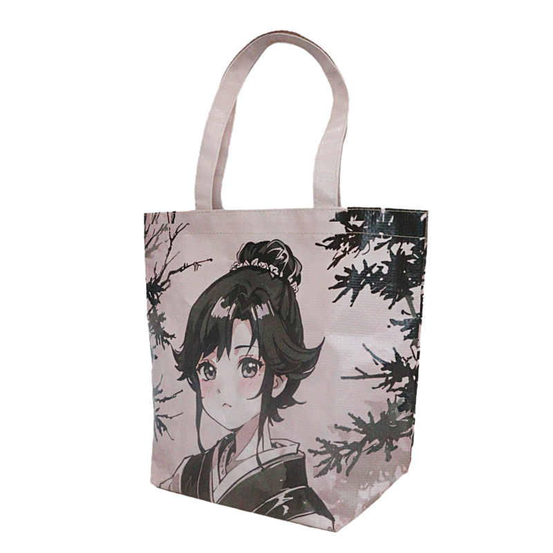 Reusable Fashion Bag SK-DM-12