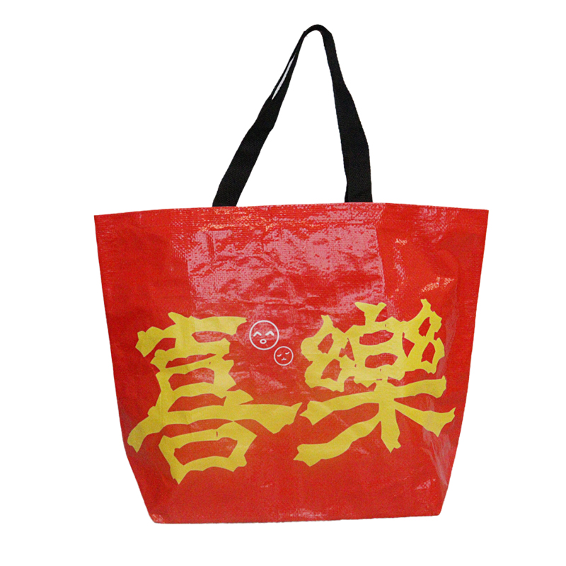 Reusable Fashion Bag SK0018120B10BDWN