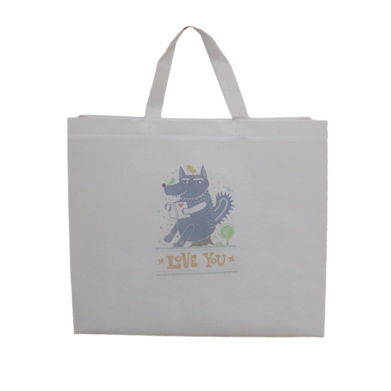 Reusable Fashion Bag SK0022110A13ABWN