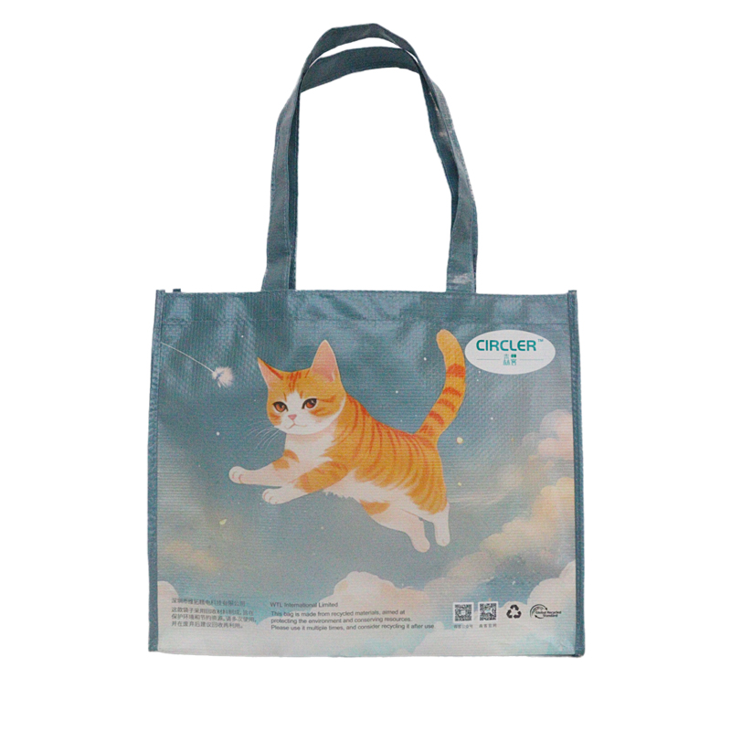 Reusable Fashion Bag SK-DM-01