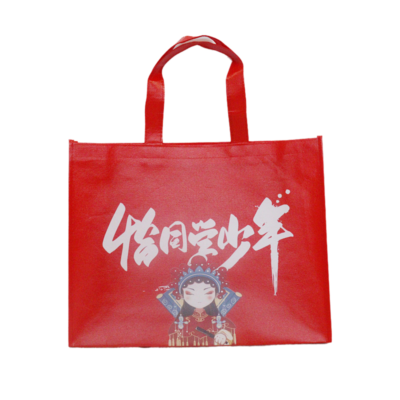 Reusable Fashion Bag SK0021110A14BBWN