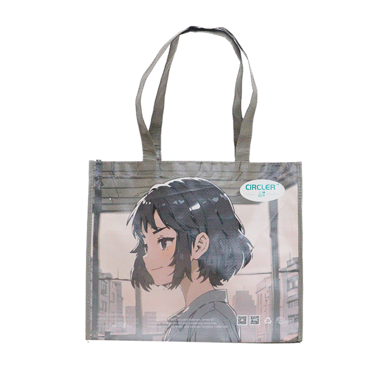 Reusable Fashion Bag SK-DM-03