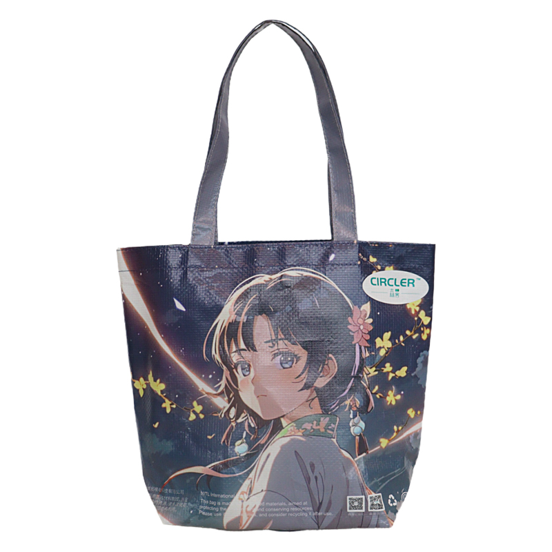 Reusable Fashion Bag SK-DM-04