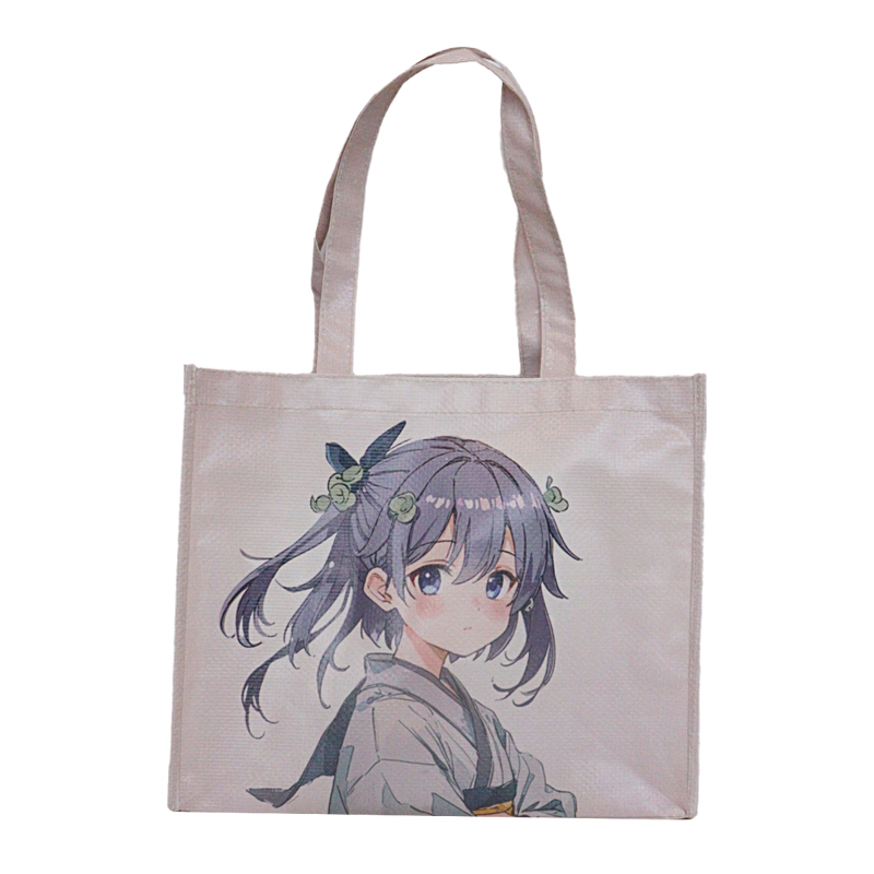 Reusable Fashion Bag SK-DM-05