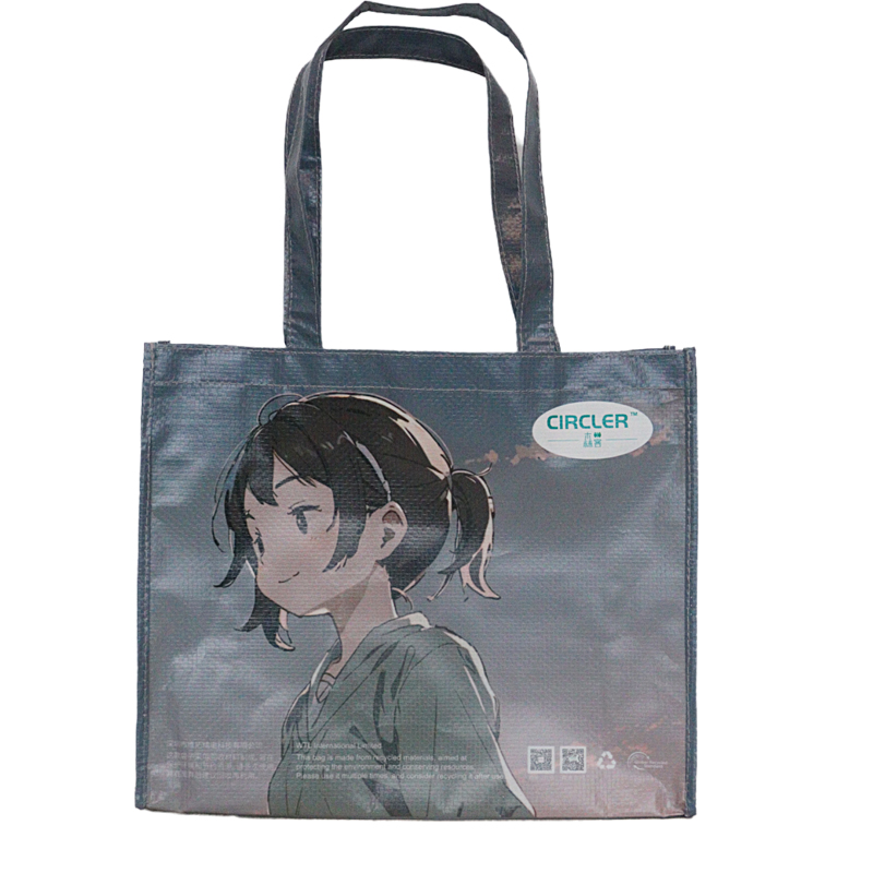 Reusable Fashion Bag SK-DM-08