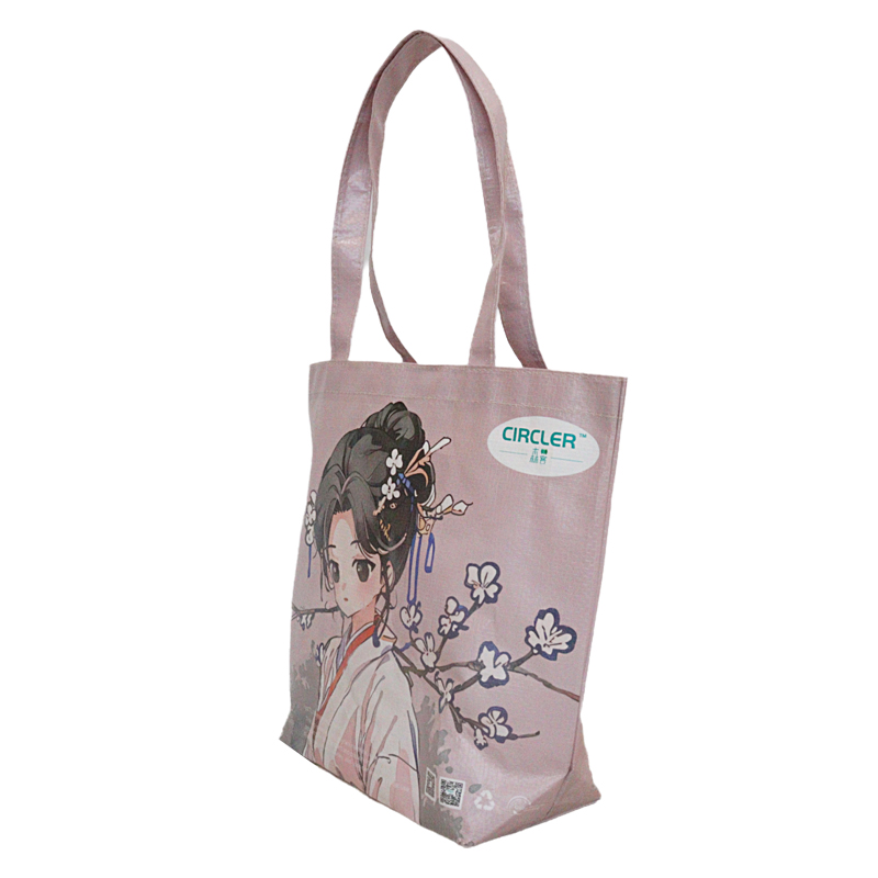 Reusable Fashion Bag SK-DM-11