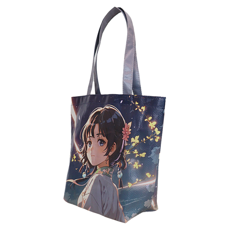 Reusable Fashion Bag SK-DM-04