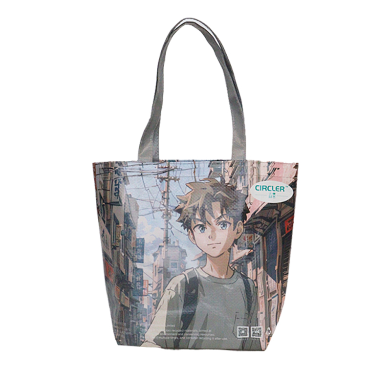 Reusable Fashion Bag SK-DM-06