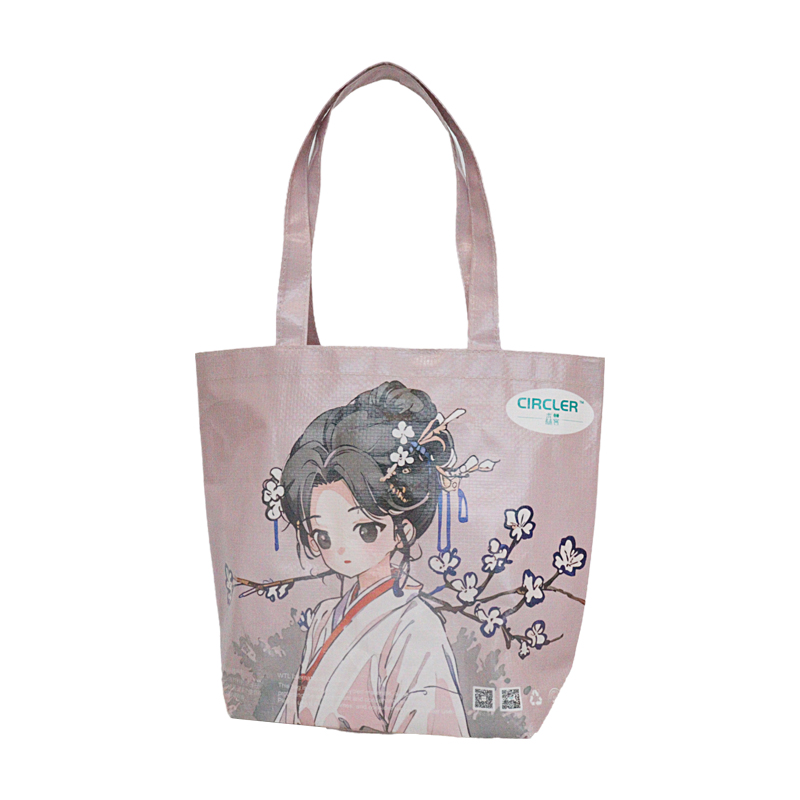 Reusable Fashion Bag SK-DM-11